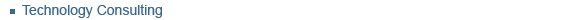 Technology Consulting